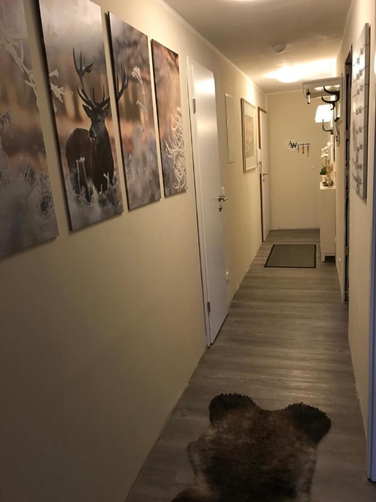 Wurmbergtraum Celina in Braunlage - NEU Erstvermietung! Exterior foto